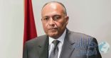 وزير خارجية مصر: قوة الردع العربية ستبقى في بلدانها بلا مقر موحد