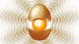 بيضة… من دون دجاجة بيضة «إفري»