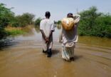 نزوح 1200 أسرة في مدينة بحري السودانية جراء فيضانات نهر النيل
