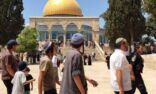 «جماعات الهيكل» المتطرفة تدعو لاقتحامات واسعة فى المسجد الأقصى