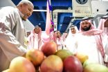 نائب أمير جازان يرعى انطلاق مهرجان “المانجو 13”