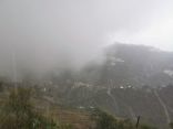 شاهد.. أمطار غزيرة وضباب كثيف على جبال فيفاء