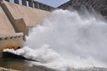 لمدة شهر.. “البيئة” تفتح بوابات سد وادي بيش لكثافة الأمطار