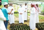 برنامج “إيفاد” يزور هيئة تطوير وتعمير المناطق الجبلية بجازان