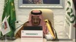 مع بدء أعمال قمة العشرين.. الملك سلمان‬: ما زالت شعوبنا واقتصاداتنا تعاني من صدمة ‫كورونا‬ وسنبذل قصارى جهدنا لتجاوز الأزمة
