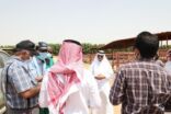 خبراء من منظمة الزراعة بالأمم المتحدة يقفون على مزارع المواشي بجازان