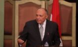 وزير الخارجية المصري يتوجه لنيويورك للتحضير لجلسة مجلس الأمن حول سد النهضة