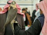 مهرجان الصقور بالحدود الشمالية يجمع الصقارين وعشاق الصيد في المملكة ودول الخليج