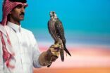 صقور القنفذة تتصدَّر الليلة الـ 26 لمزاد نادي الصقور السعودي