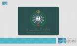وزارة الدفاع : سقوط طائرة مقاتلة من نوع (ف -15 إس) بسبب خلل فني أثناء مهمة تدريبية ونجاة طاقمها الجوي