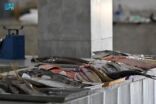 أسواق السمك بجازان .. وفرة في المعروض وتنوع في الأصناف