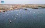 جزيرة ” عثر السياحية ” بمركز قوز الجعافرة فرصة استثمارية واعدة