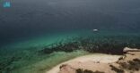 ” ثيران ، وغراب ، ورقبين” ثلاث جزر سياحية بمحافظة بيش تنتظر التطوير