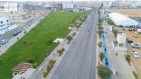 شجرة “كف مريم” تُزيِّن المشهد الطبيعي في جازان وتعزز جاذبية السياحة البيئية