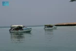 بين جيزان والبادرة.. صيادٌ يكتب عمره على صفحة البحر
