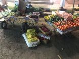 بلدية صامطة تصادر (١٧٣)كيلو جرام مواد غذائية منتهية الصلاحية