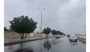 حالة الطقس المتوقّعة اليوم في المملكة
