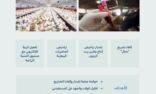 “البيئة” تطلق خدمات إلكترونية لتصاريح النحالين وإصدار تراخيص “إنتاج الزيوت” و”المختبرات البيطرية”