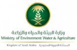 “البيئة” تطرح 4 مشروعات لسدود مياه بعسير للاستثمار أمام القطاع الخاص
