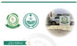 الأفواج الأمنية بمنطقة جازان تقبض على شخص بحوزته (117) كيلو جرامًا من القات المخدر