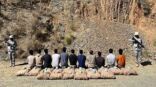 جازان.. حرس الحدود يقبض على 11 مخالفًا لتهريبهم 288 كلجم من نبات القات المخدر