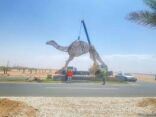 شاهد.. نقل أكبر مجسم هجن بالطائف إلى موقعه الجديد