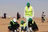 إدارة مهرجان الإبل تزرع 300 شجرة احتفالًا باليوم العالمي للتطوع