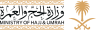 وزارة الحج تطلق فيلم هندسة الحشود كأول قراءة معرفية لتجربة إدارة ملايين الحجاج