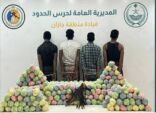 حرس الحدود بمنطقة جازان يقبض على (4) مخالفين لنظام أمن الحدود لتهريبهم (260) كيلوجرامًا من نبات القات المخدر