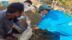 “وقاء جازان” يبدأ حملة التحصين لأكثر من 250 ألف رأس من الماشية ضد الحُمّى القلاعية