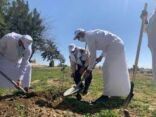 أمانة جازان تغرس 500 شتلة بمحافظة جزر فرسان