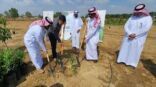 جازان.. “هيئة تطوير المناطق الجبلية” تستكمل المرحلة الثانية من التوسع بزراعة العود والصندل