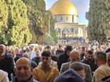 120 ألف مصل يؤدون صلاة العيد في المسجد الأقصى المبارك