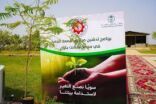 “أسمنت الجنوبية” تُطلق مبادرة “البصمة الخضراء” لزراعة 150 ألف شجرة في جازان