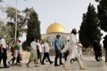 مئات المستوطنين يقتحمون المسجد الأقصى تحت حماية قوات الاحتلال بالقدس