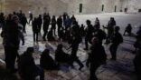 إدانات عربية ودولية واسعة لاقتحام باحات المسجد الأقصى.. وواشنطن: “قلقون للغاية”