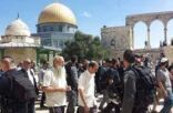عشرات المستوطنين يقتحمون “الأقصى”.. واعتقال 6 فلسطينيين من رام الله وبيت لحم