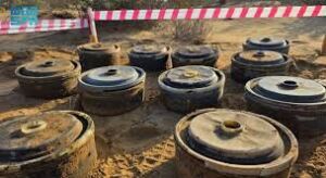 مسام ينتزع 1.231 لغماً في اليمن خلال أسبوع ويرفع إجمالي الألغام المنزوعة إلى 552 ألفاً