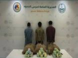 القبض على (3) مخالفين لنظام أمن الحدود لتهريبهم (60) كيلوجرامًا من نبات القات المخدر بمنطقة جازان