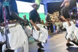 “ضمد” تُقدم إحدى ليالي المحافظات التراثية بمهرجان شتاء جازان