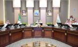 وكيـل إمارة جازان والرئيس التنفيذي لهيئة التراث يبحثان تطوير مواقع التراث الثقافي بالمنطقة