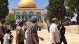 مستعمرون يقتحمون الأقصى وقوات الاحتلال تهدم منازل في رام الله والخليل