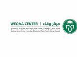 “وقاء” يطلق حملة لتحصين الحيوانات الأليفة ضد مرض السعار بمنطقة جازان