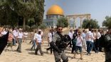 مستعمرون يقتحمون الأقصى ويجوبون باحاته بحماية قوات الاحتلال