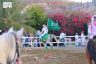 عروض الفروسية تزيّن احتفالات اليوم الوطني في محافظة العقيق