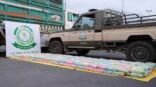 حرس الحدود بجازان يقبض على مخالفَين لنظام أمن الحدود لتهريبهما (50) كيلوجرامًا من نبات القات المخدر