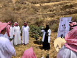 “تطوير جازان” تنظِّم دورة تدريبية حول “إنتاجية وجودة البُن السعودي”