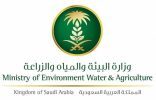 “البيئة”: إنشاء البحيرات الصناعية بغرض الترفيه أو الاستثمار يعرض صاحبها للعقوبات والغرامات