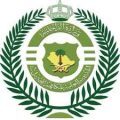 جازان.. “مكافحة المخدرات” تطيح بمخالف روج 5 كجم من الحشيش المخدر