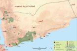 اللاجئيين الصوماليين في اليمن هروب من حرب الى استغلال في حرب